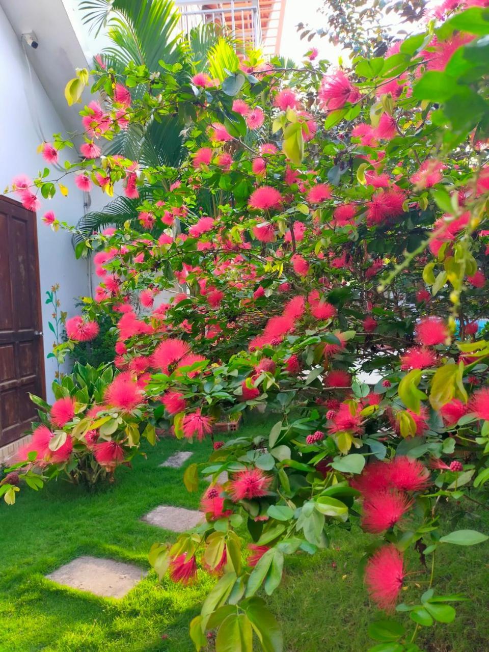 Serenity Garden Фукуок Екстер'єр фото
